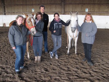 photo médaition animale: spécialisation équine